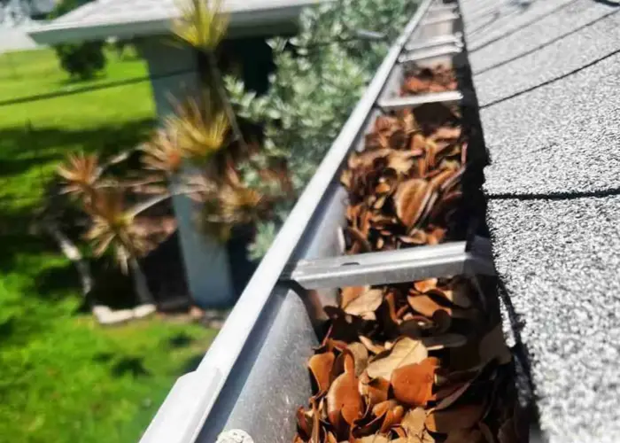 East Hills gutter cleaning home page